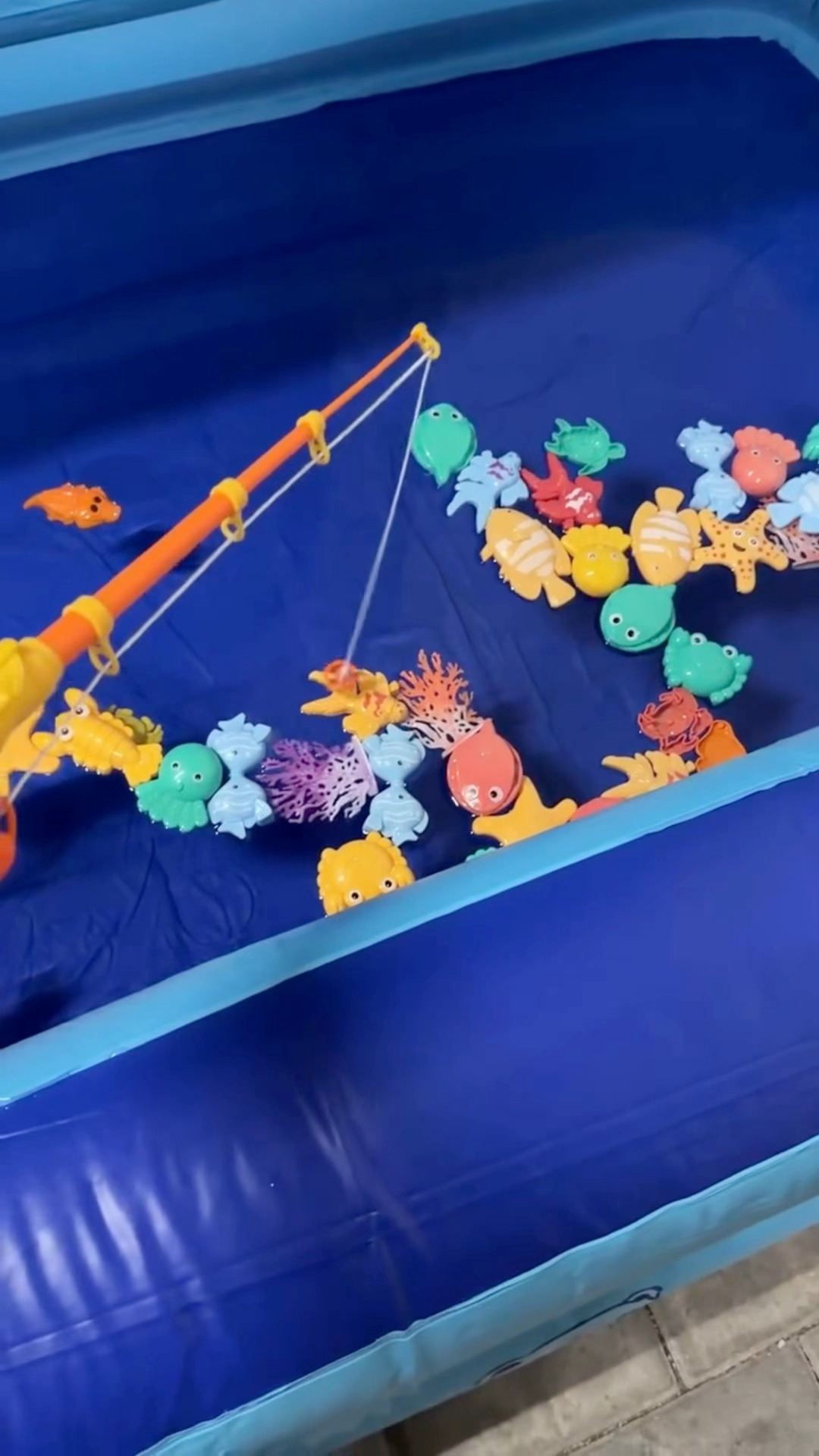 蔡依林在愉悦海市玩得很开心