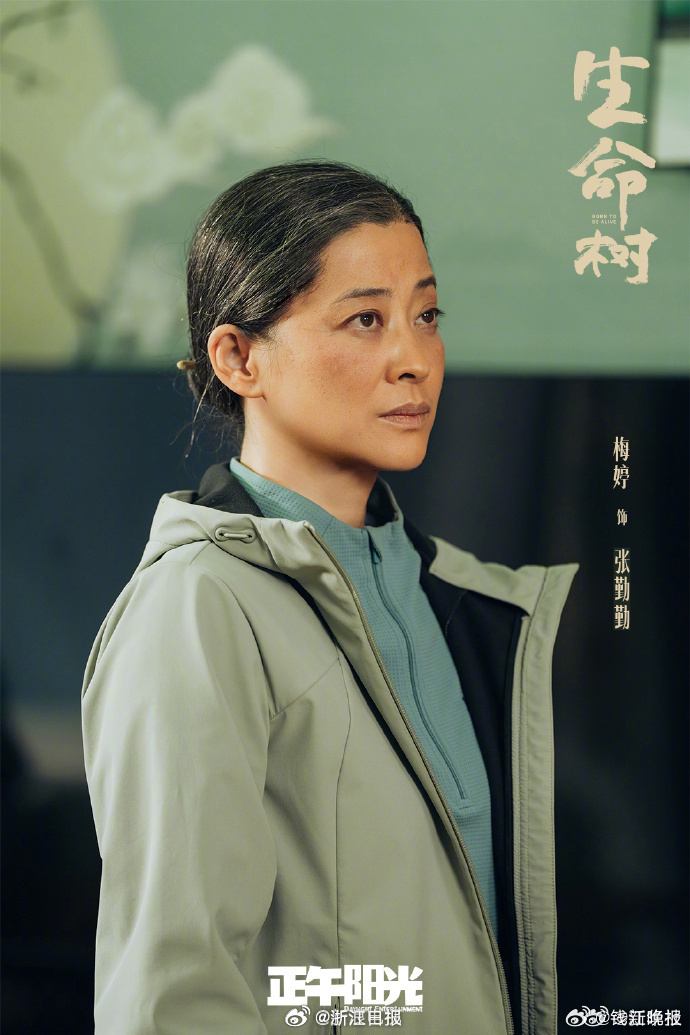#金鹰奖#【#梅婷金鹰奖最佳女配角#】 #金鹰奖内场#第33届中国电视金鹰奖颁奖