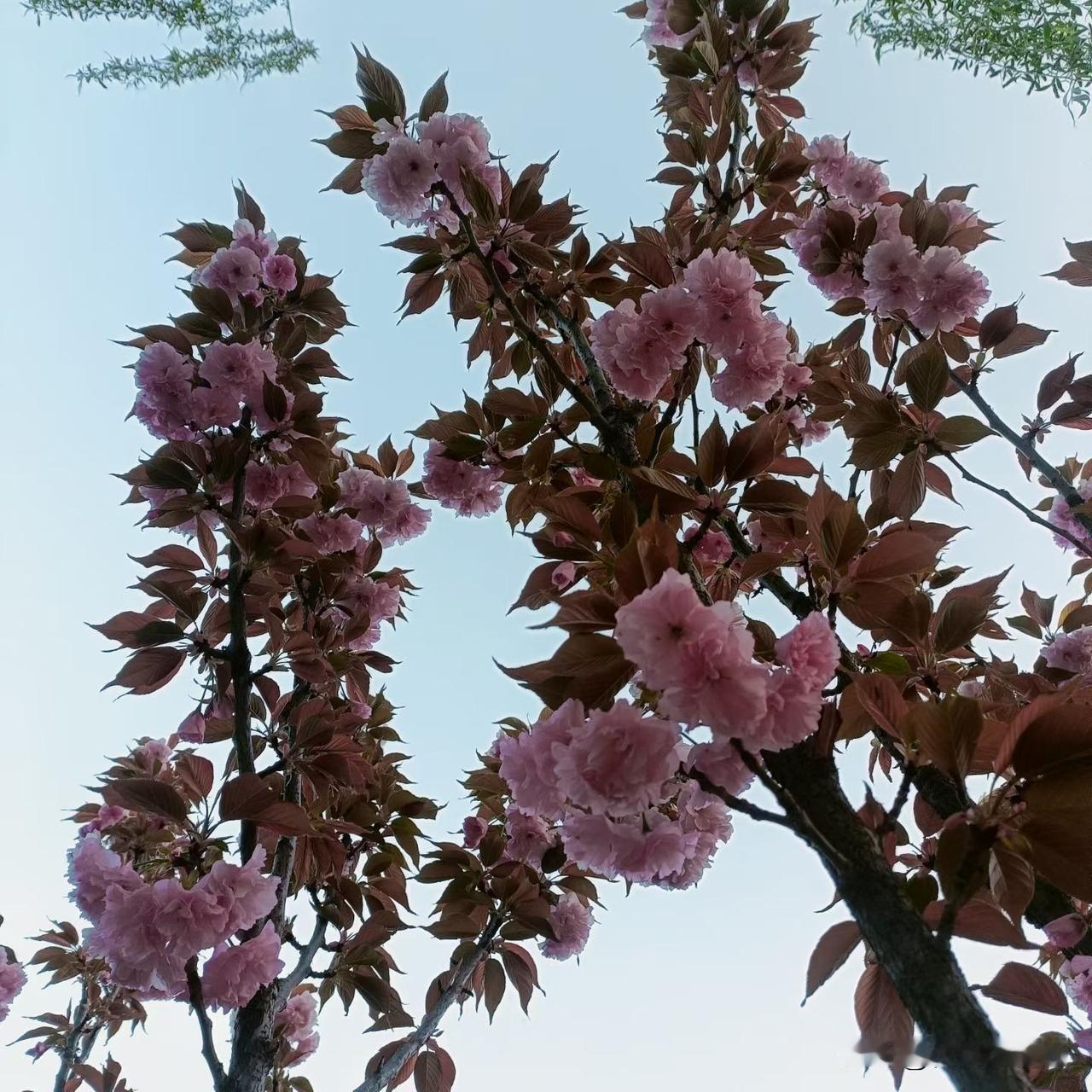 只要在努力的路上，一切都会有希望。拼尽全力的人生，远比事实将就的人生要美，不曾为