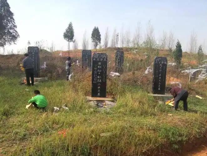 祭先人，承家风；缅先烈，知奋进。这，就是中国人的清明。
        一杯酒，