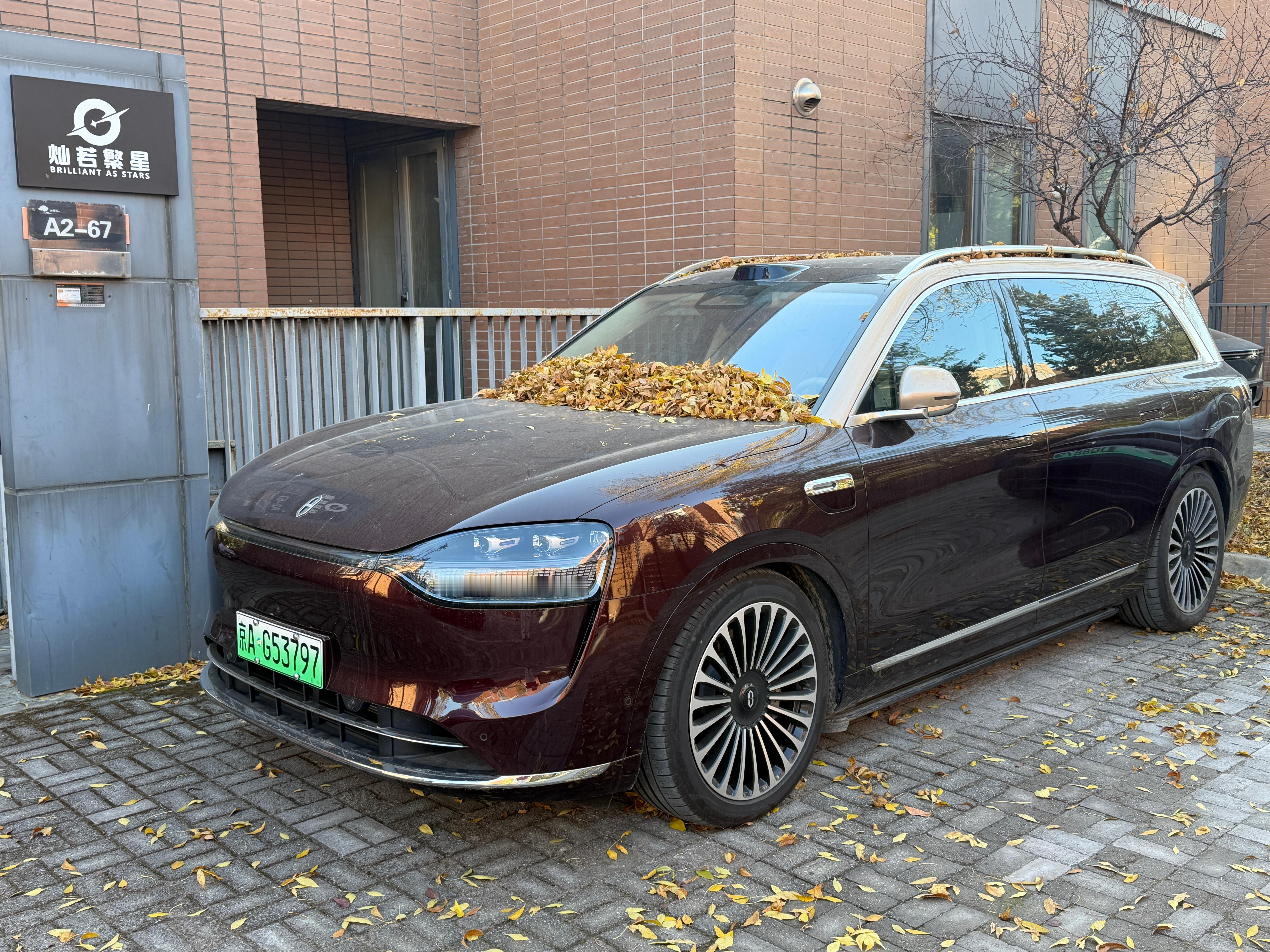 半个月没开问界M9，整一堆树叶子……