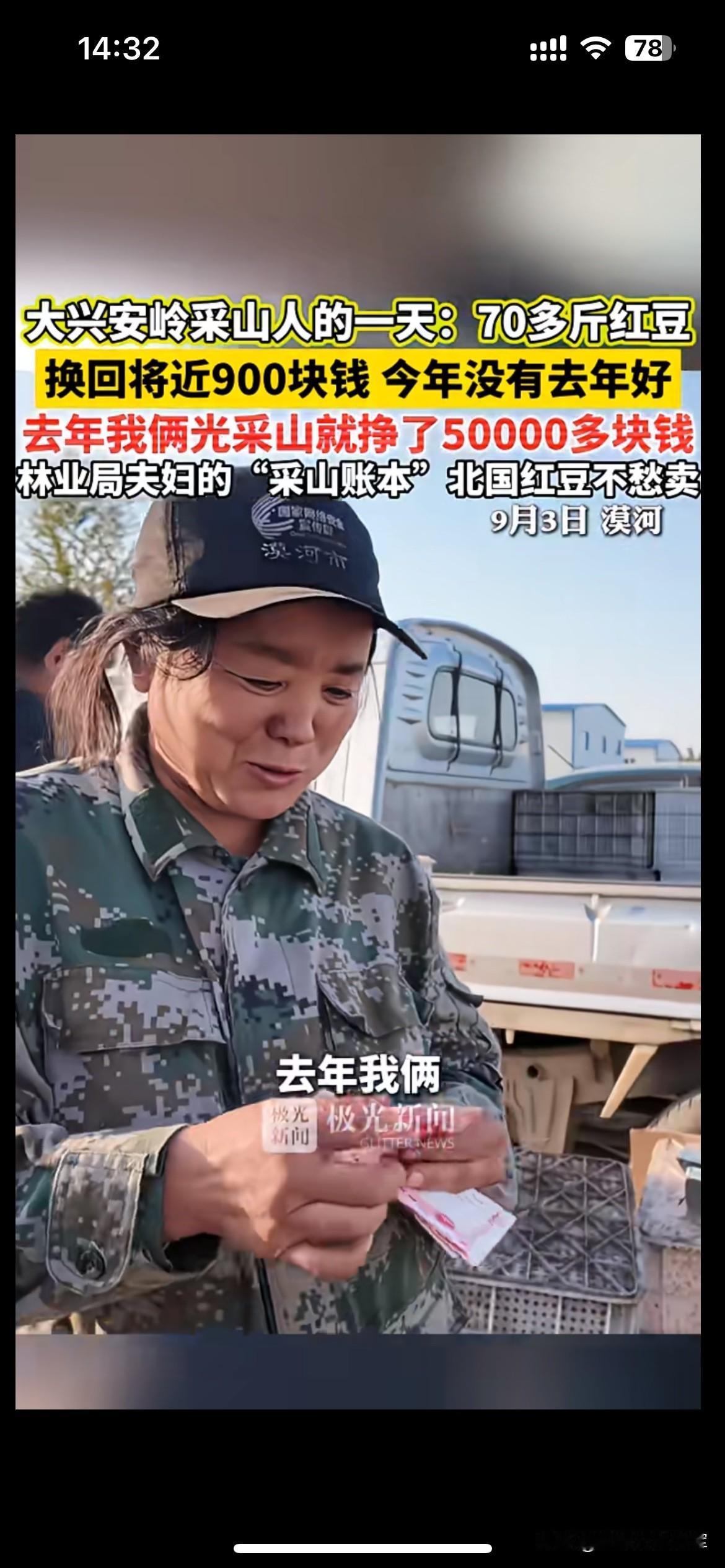 靠大山吃饭的采山人，赚的全是季节里的辛苦钱

漠河这对林区夫妇进山采摘北国红豆，