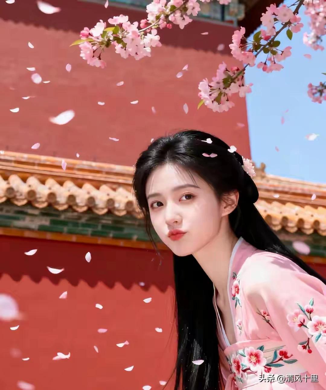 清风续句诗:
红墙影里海棠飞，
片片春痕上客衣。
莫道花开如雪落，
燕山雪花大如