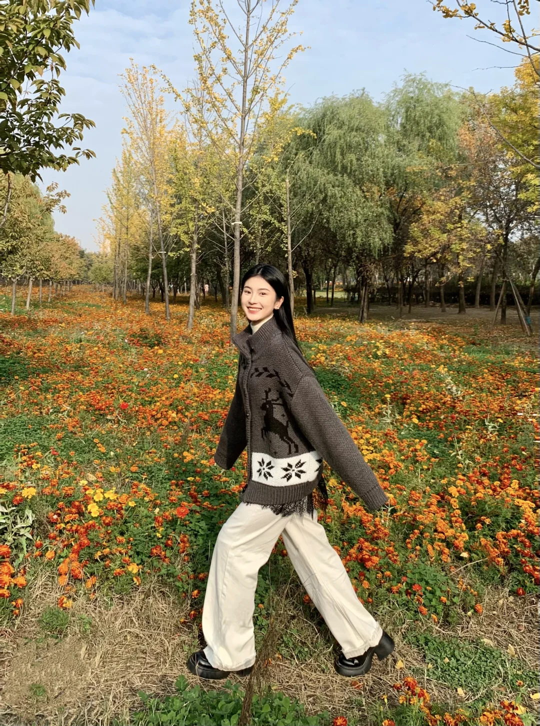 偶遇一片小花花