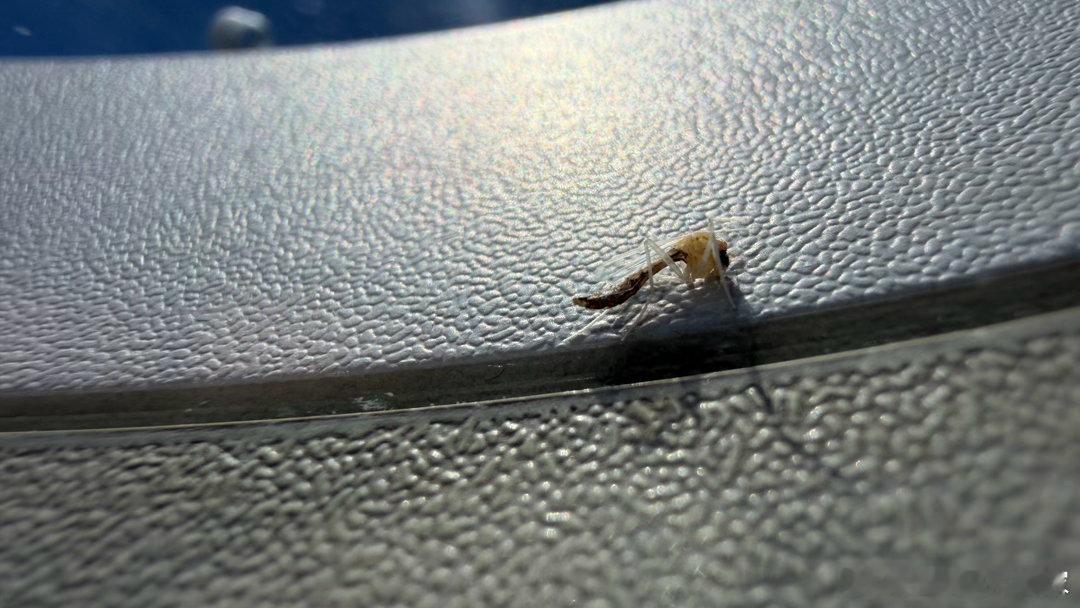 今日坐飞机的一丢丢感悟～你能达到的高度，与自身努力的关系不大，而是掺杂了太多外界