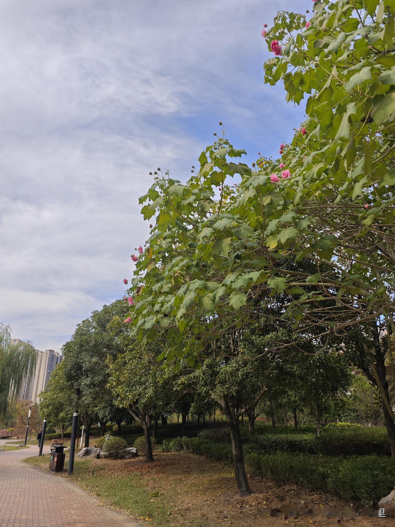马上六年了，女方父母不同意，说离得远，山东和河北，我家的意见一直是不希望因为钱的