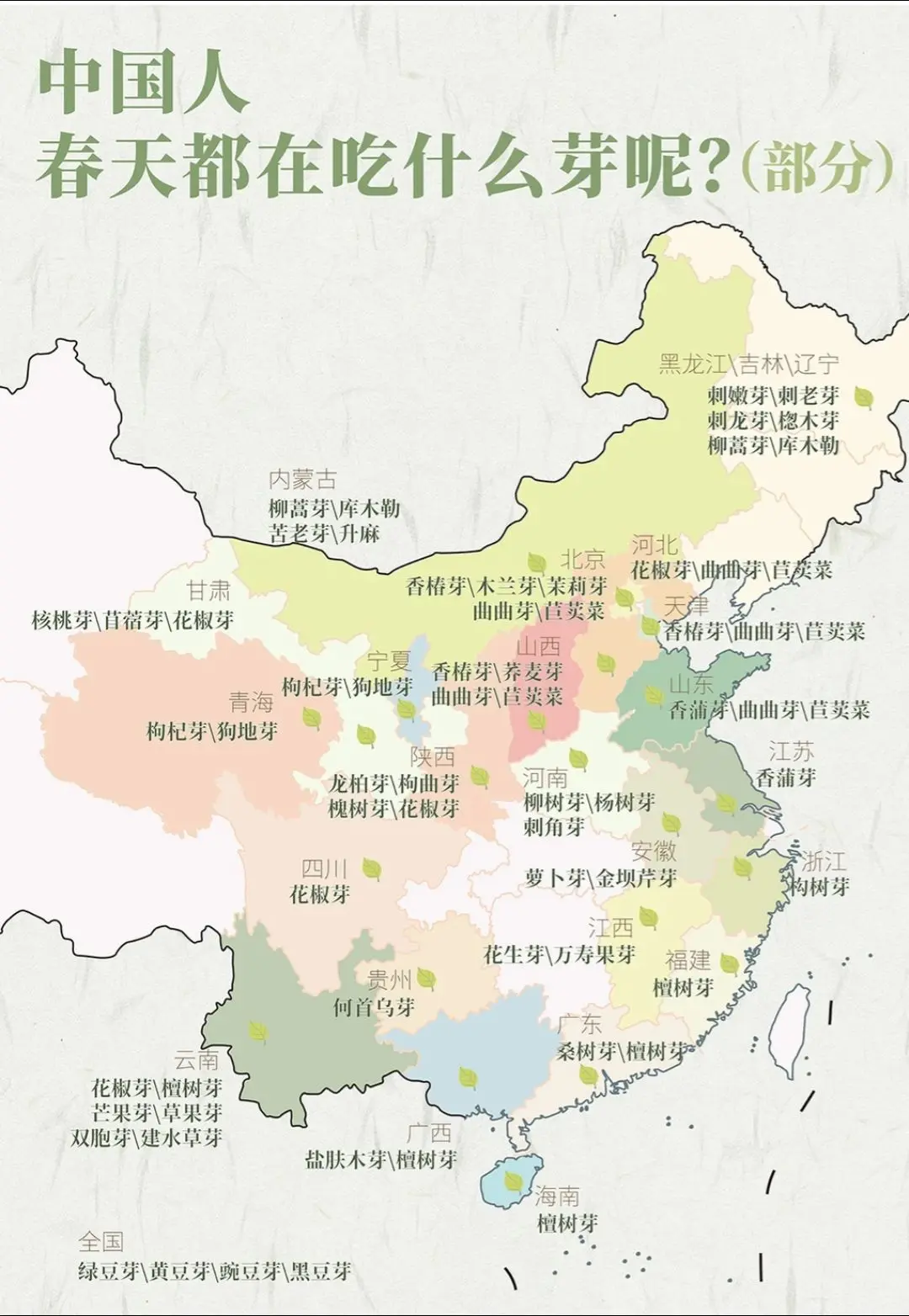 春日盛宴，中国人的春日吃“草”地图。