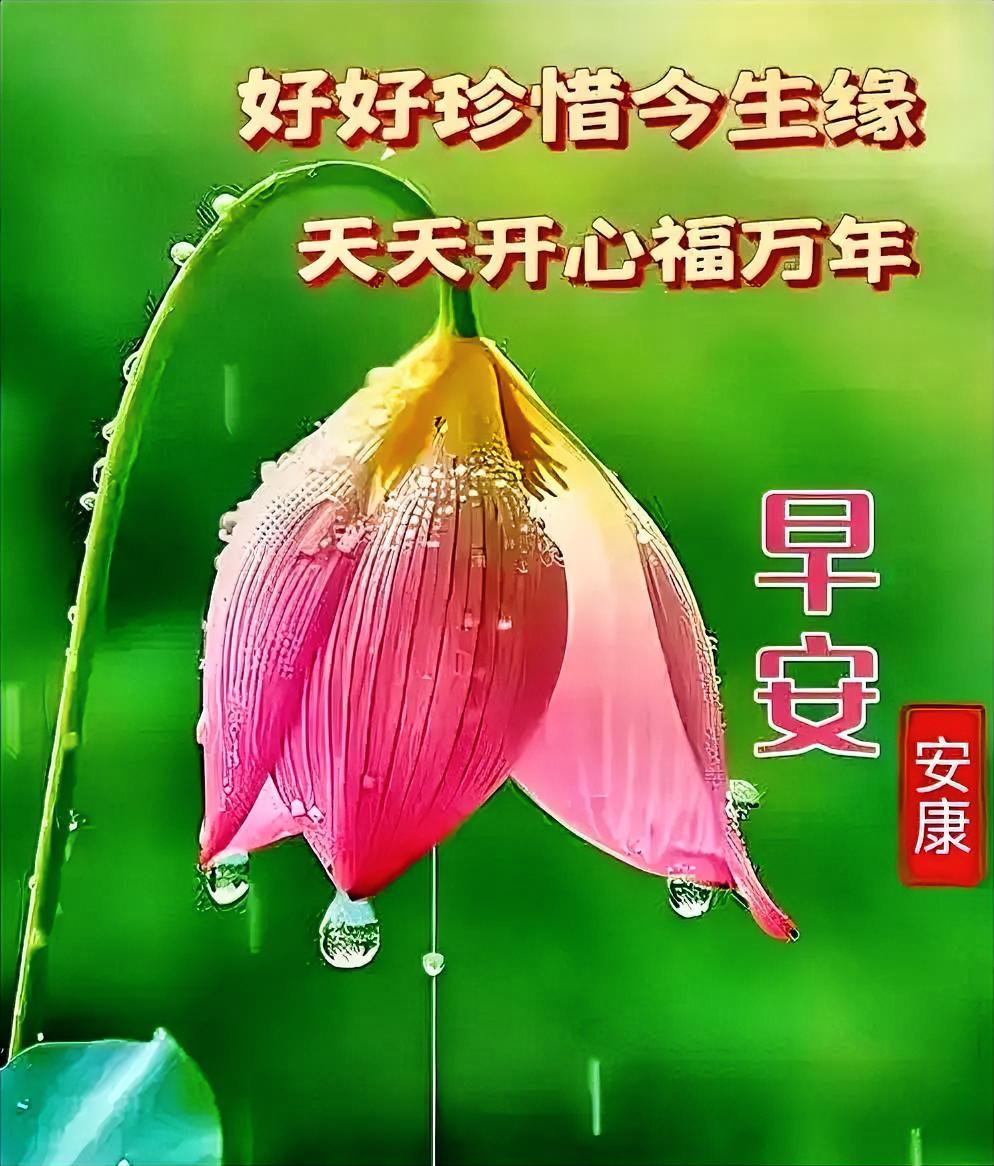这多好啊，忙了一天带娃做饭，晚上终于能回自己的单间清静清静，睡个安稳觉了吧。
六