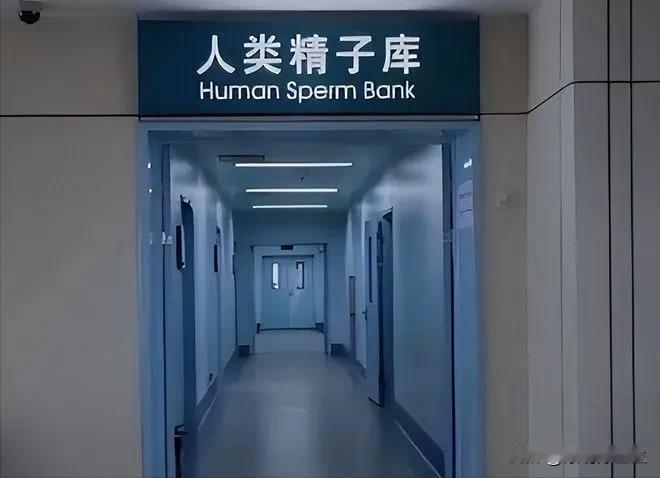 

人类精子库、代孕母亲、试管婴儿技术，让任何生命状态生育都成为可能。

默多克