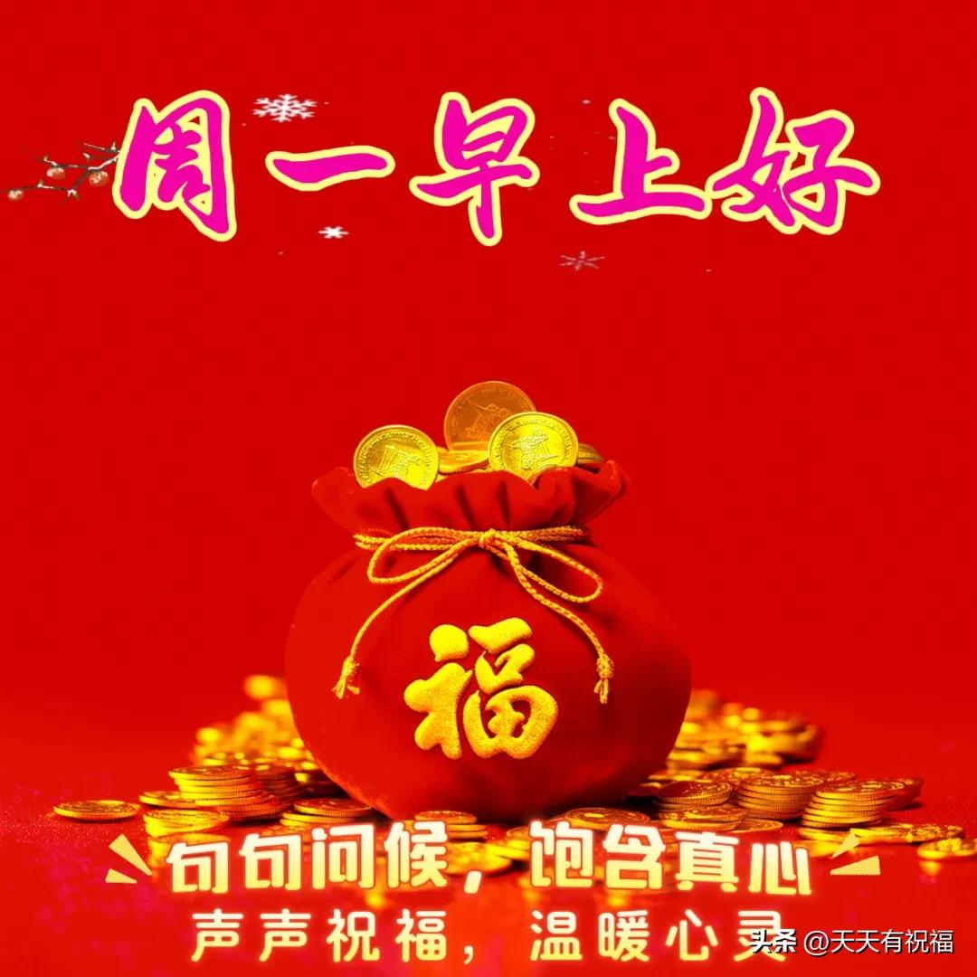 1月13日-今日精选早安祝福语精美图片，早上好漂亮问候图片祝福语

抬起头，挺起