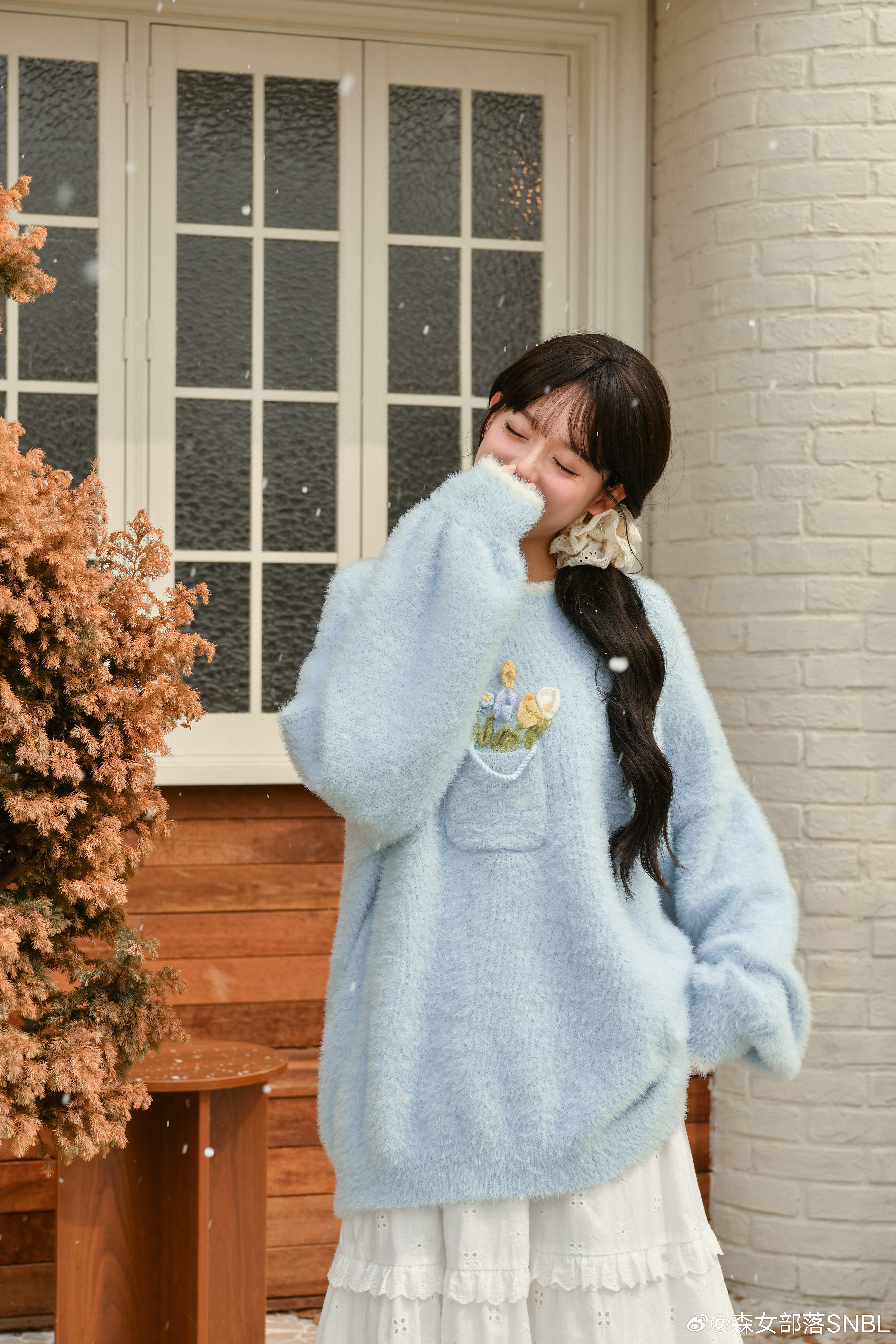 🔔  🌙✨ 𝟐 𝟎 :  𝟎 𝟎 🆕风吹花动~冬日里一抹小清新~淡