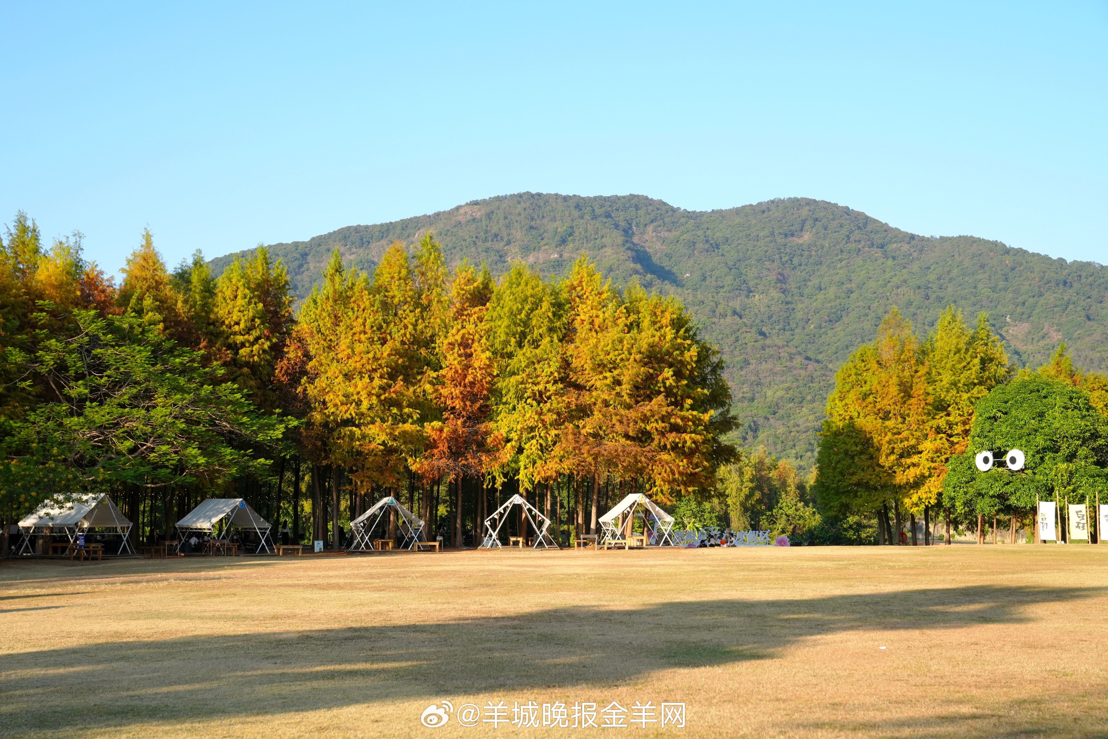 #早安#工作时认真完成任务，休息时尽情挥洒欢笑。成熟的生活状态，就是学会找到一个