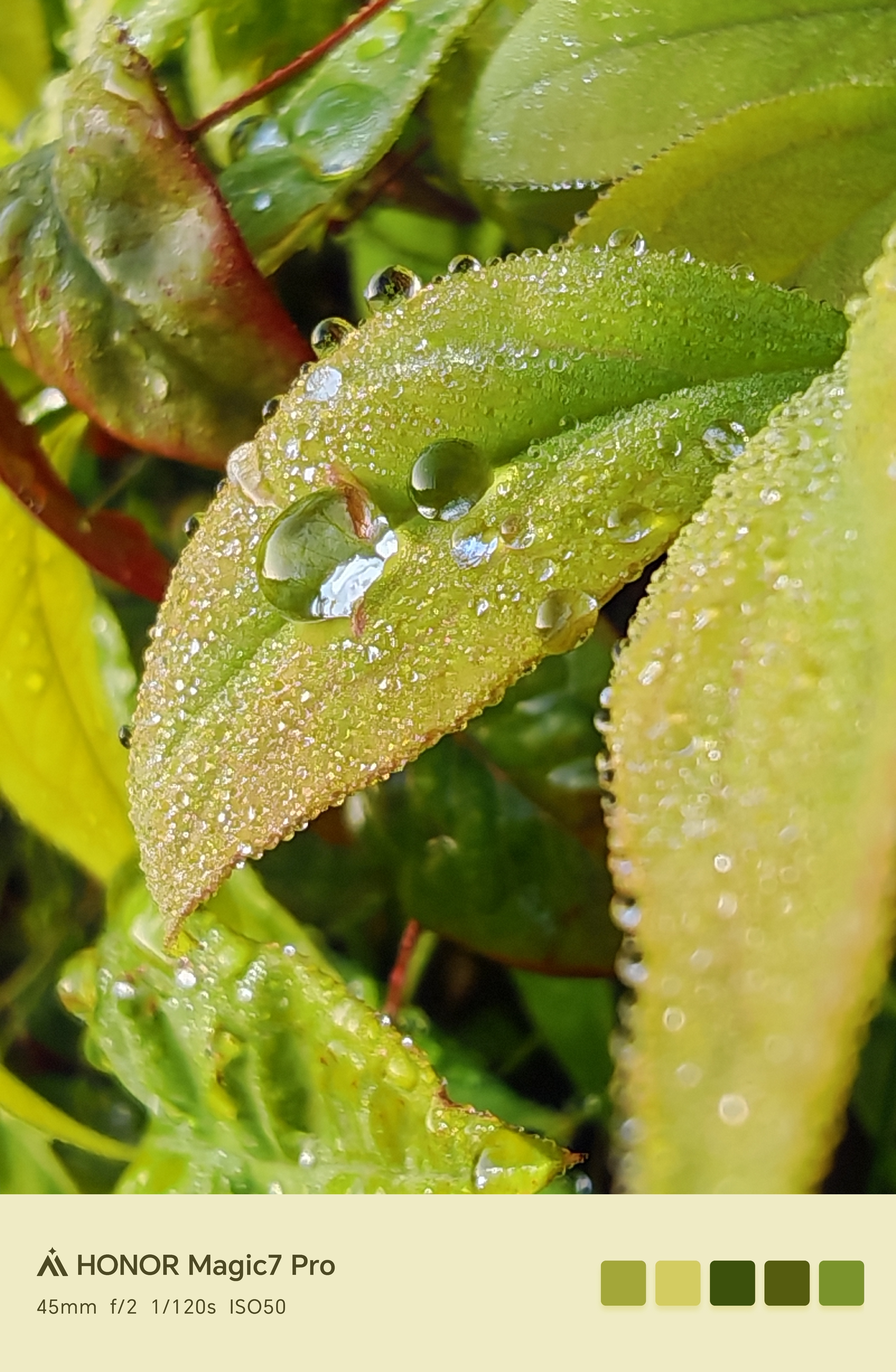 全网都在做假期出行攻略，就我熬夜活动布场，睡两个小时起来继续爆肝吗？毫不夸张的说