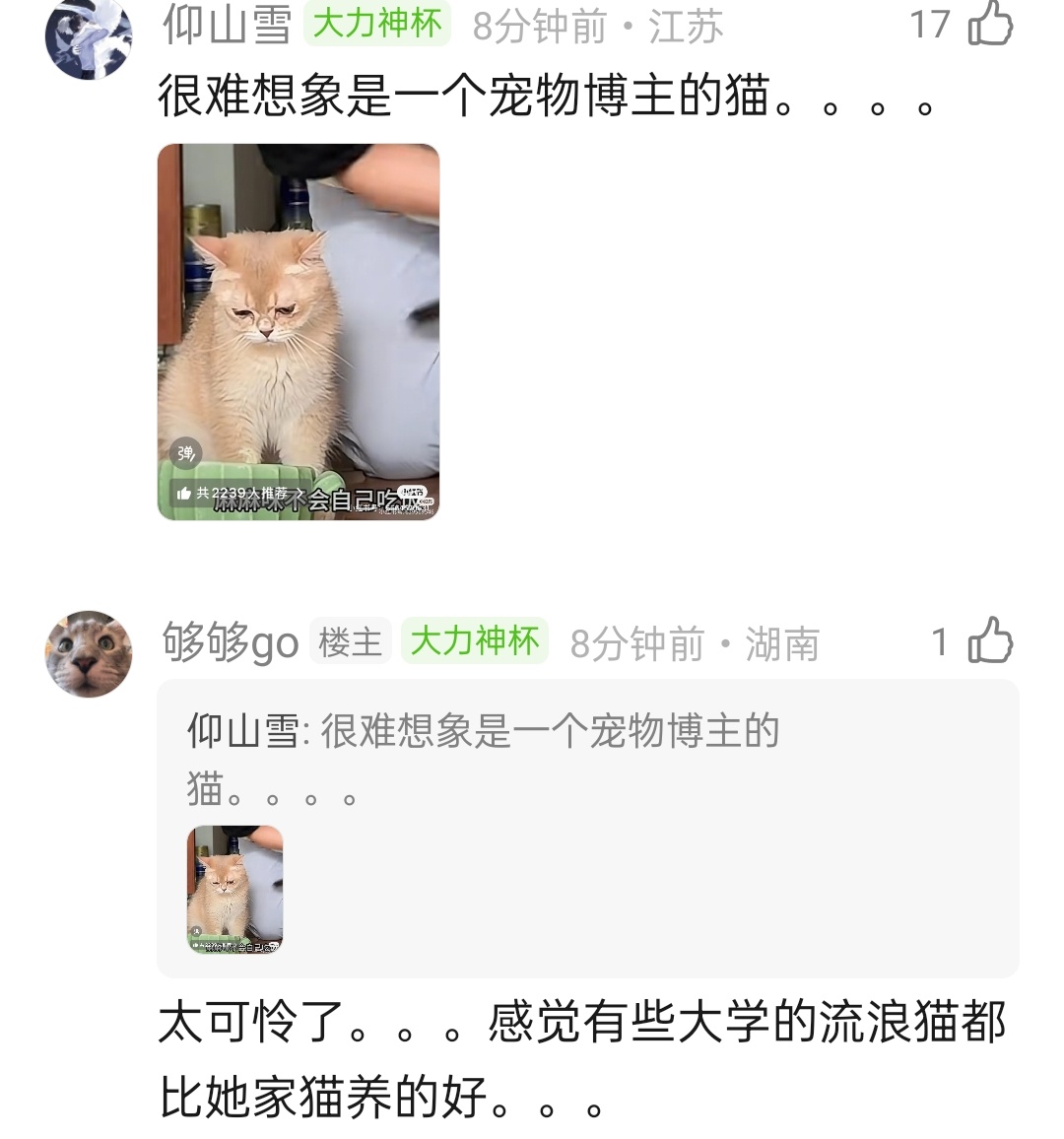 刷到过，但是没关注… 