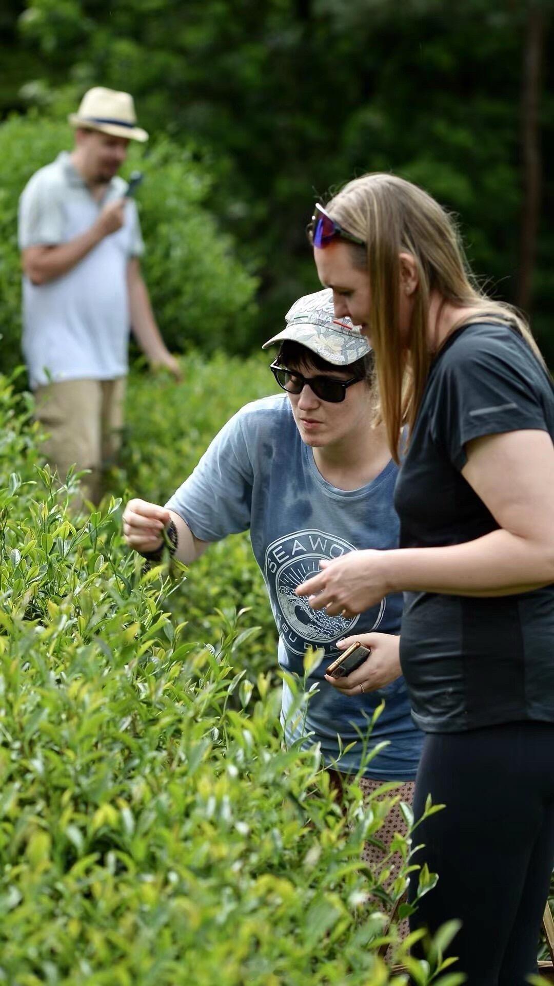 中俄两国的茶文化与习俗中俄两国的茶文化虽然都源自中国，但在长期的发展过程中，各自