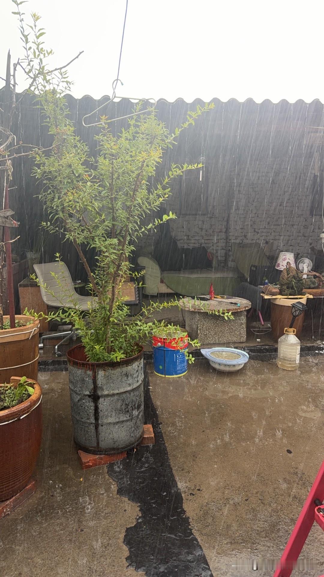 突如其来的一场大雨🌧️！前十分钟还在洗衣服，下楼一趟，风起云涌，大雨磅礴…今年