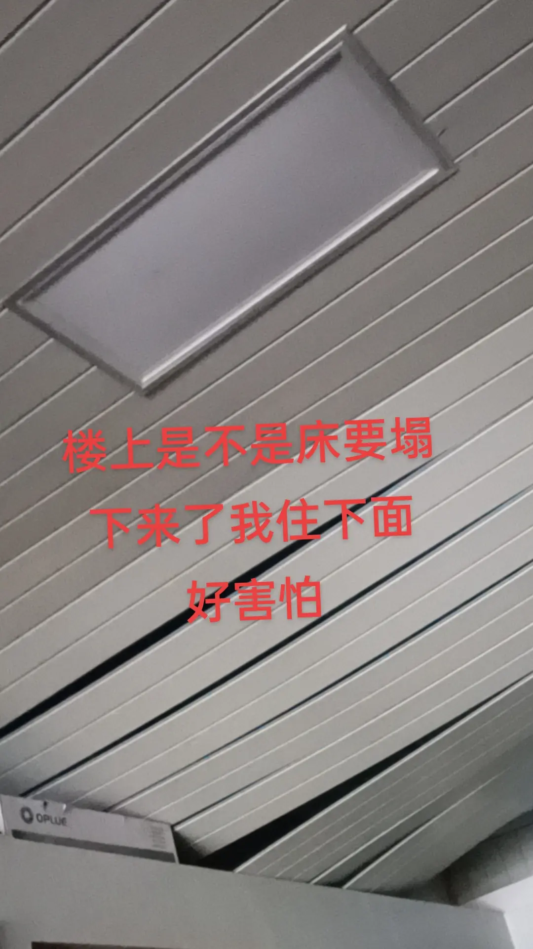 哈哈😄不许笑哦