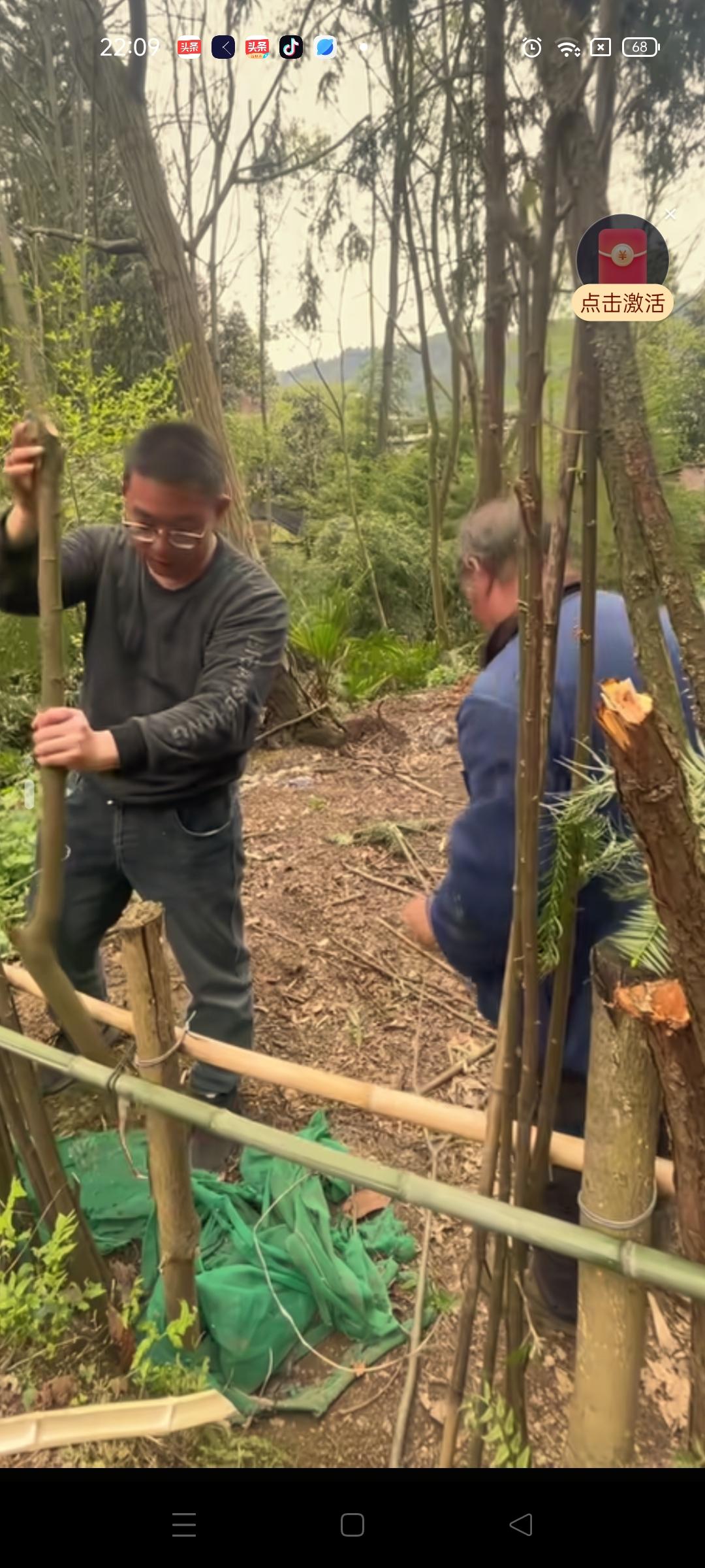 胡龙在他的老家贵州毕节一刻也不闲着 ，今天他又上山帮助爸爸砍柴， 和爸爸一起把柴