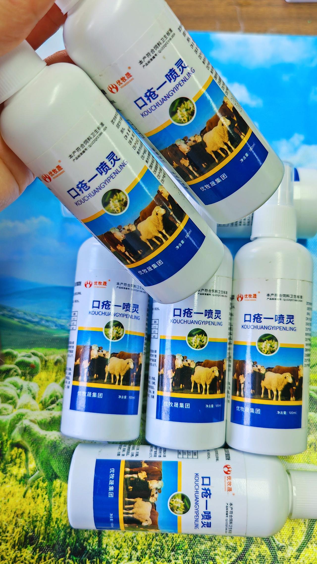 养羊人 农村养羊 牛羊养殖