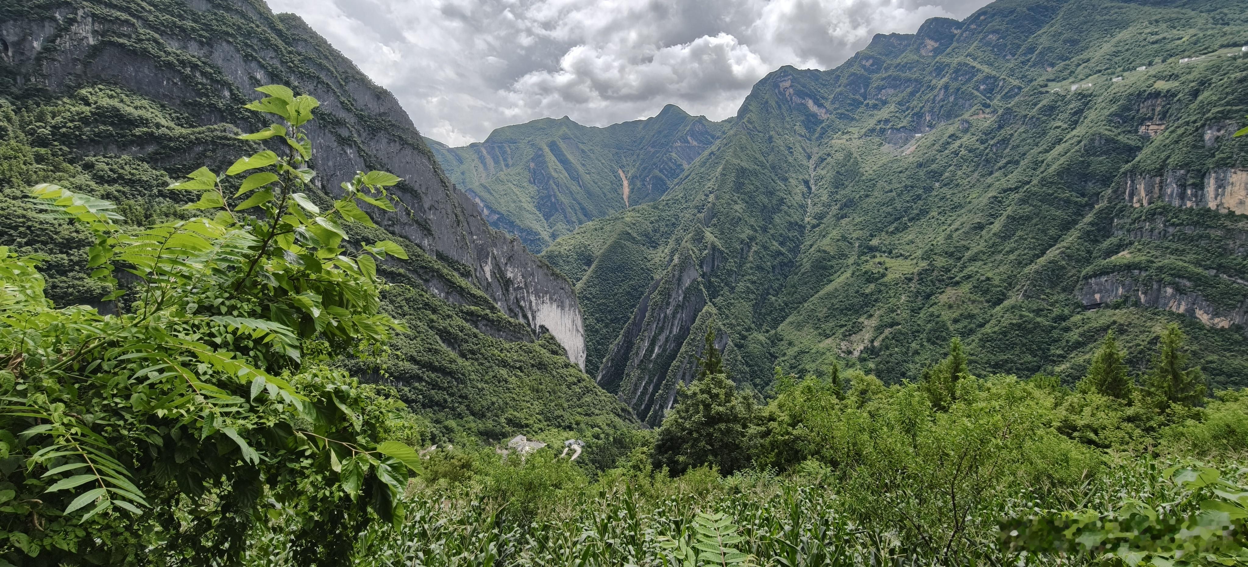 这才叫丛山峻岭啊…山里面转四五个小时，这你能受得了吗 