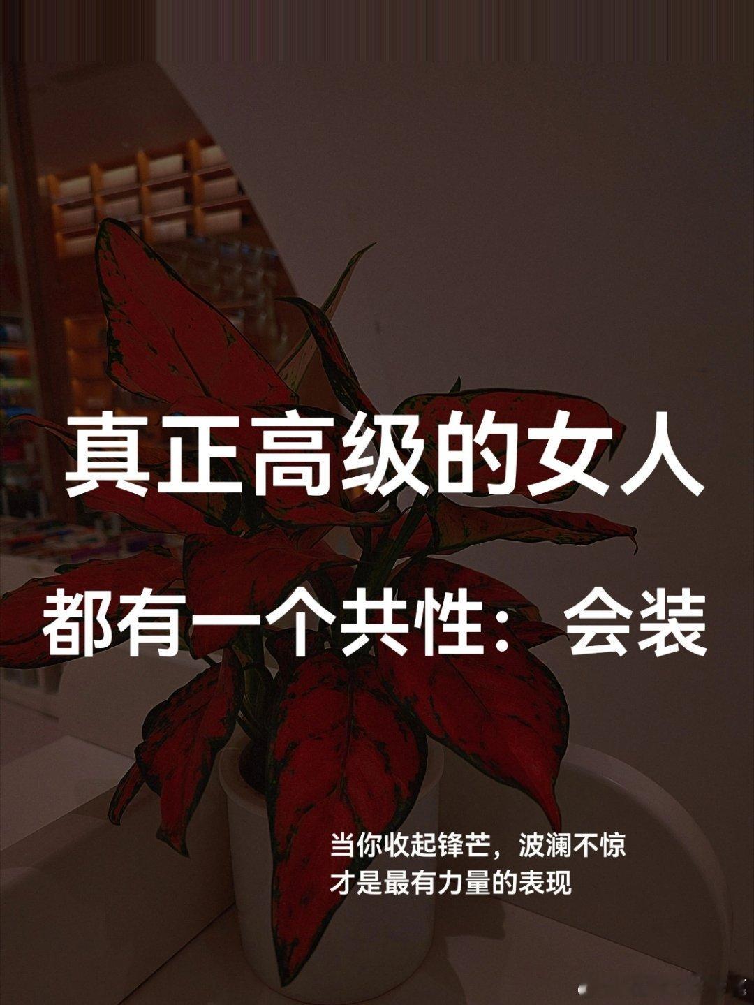 情感热点创作激励计划 会装不是虚伪，而是懂得在适当的时候收敛起锋芒。会装也不是软
