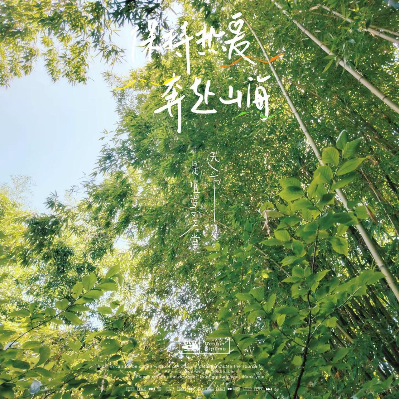 森林吸氧计划 爬山🧗山野不语 蓝天竹林 山林是巨大的能量场
