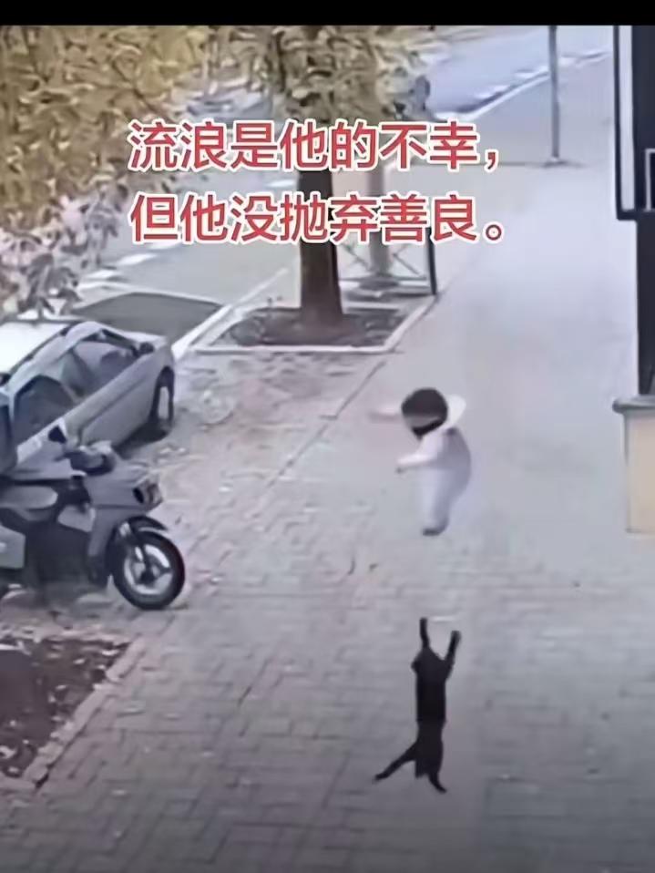 万物皆有灵!浙江杭州，一名三岁宝宝在阳台玩耍，结果大人一个疏忽，孩子突然从阳台掉