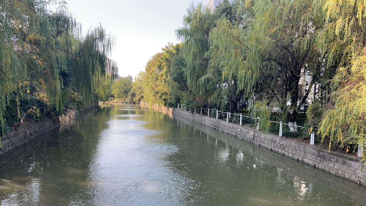 退休姐妹聚会，六只茶杯碰在一起

“今年体检报告，我比孙子成绩单看得还仔细！” 