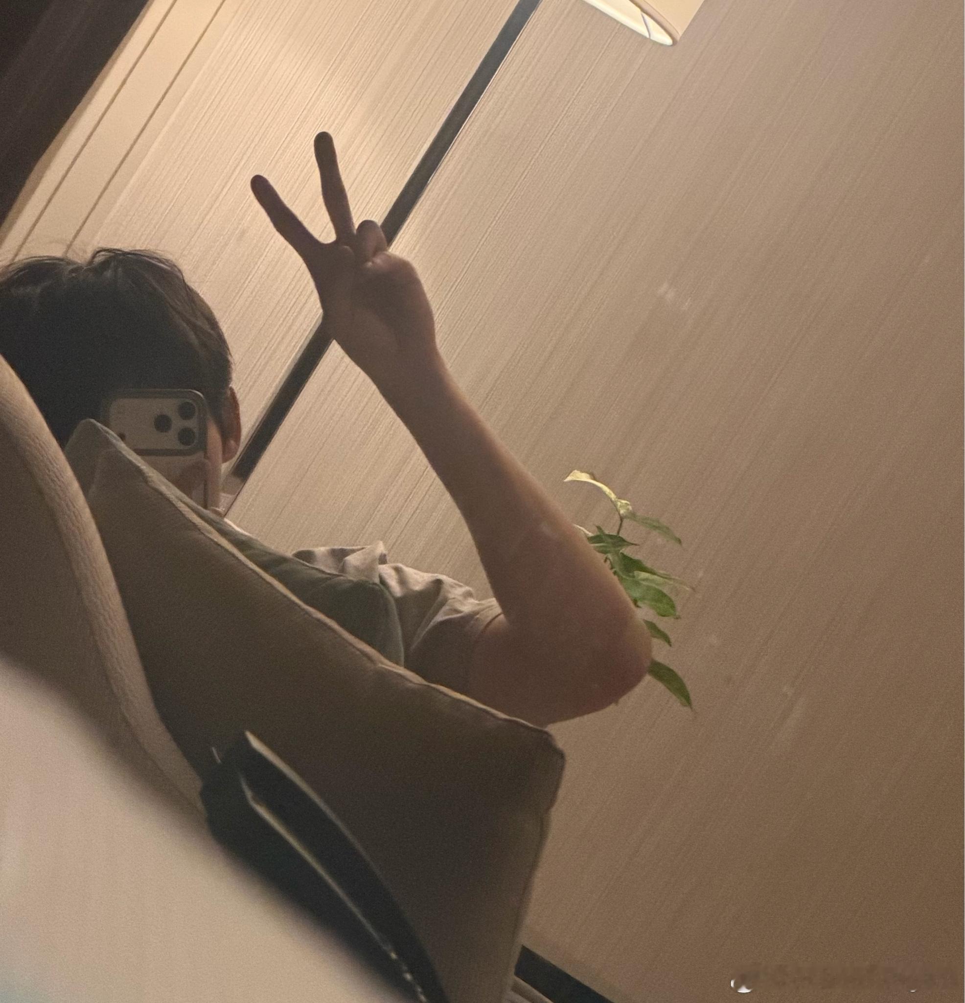 今天的小树杈 ​​​