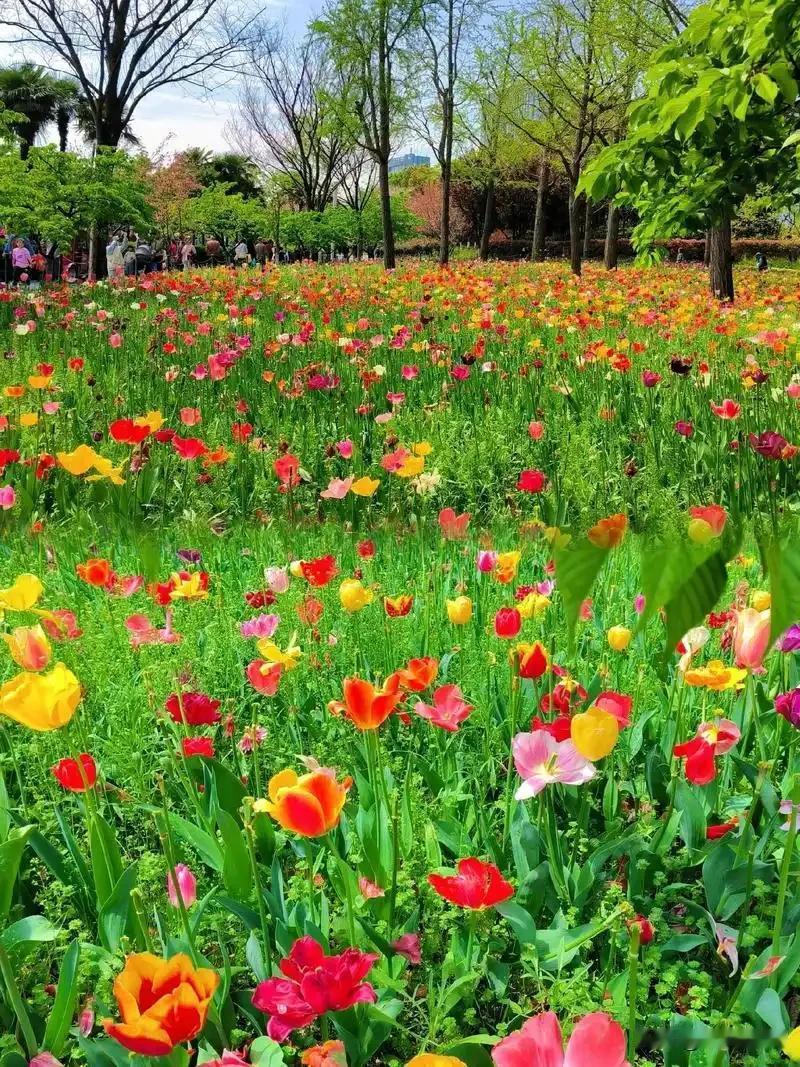 春天是这样的


写她的那天，是一个明媚的早晨
空气清爽，风
明显带着色彩
好像