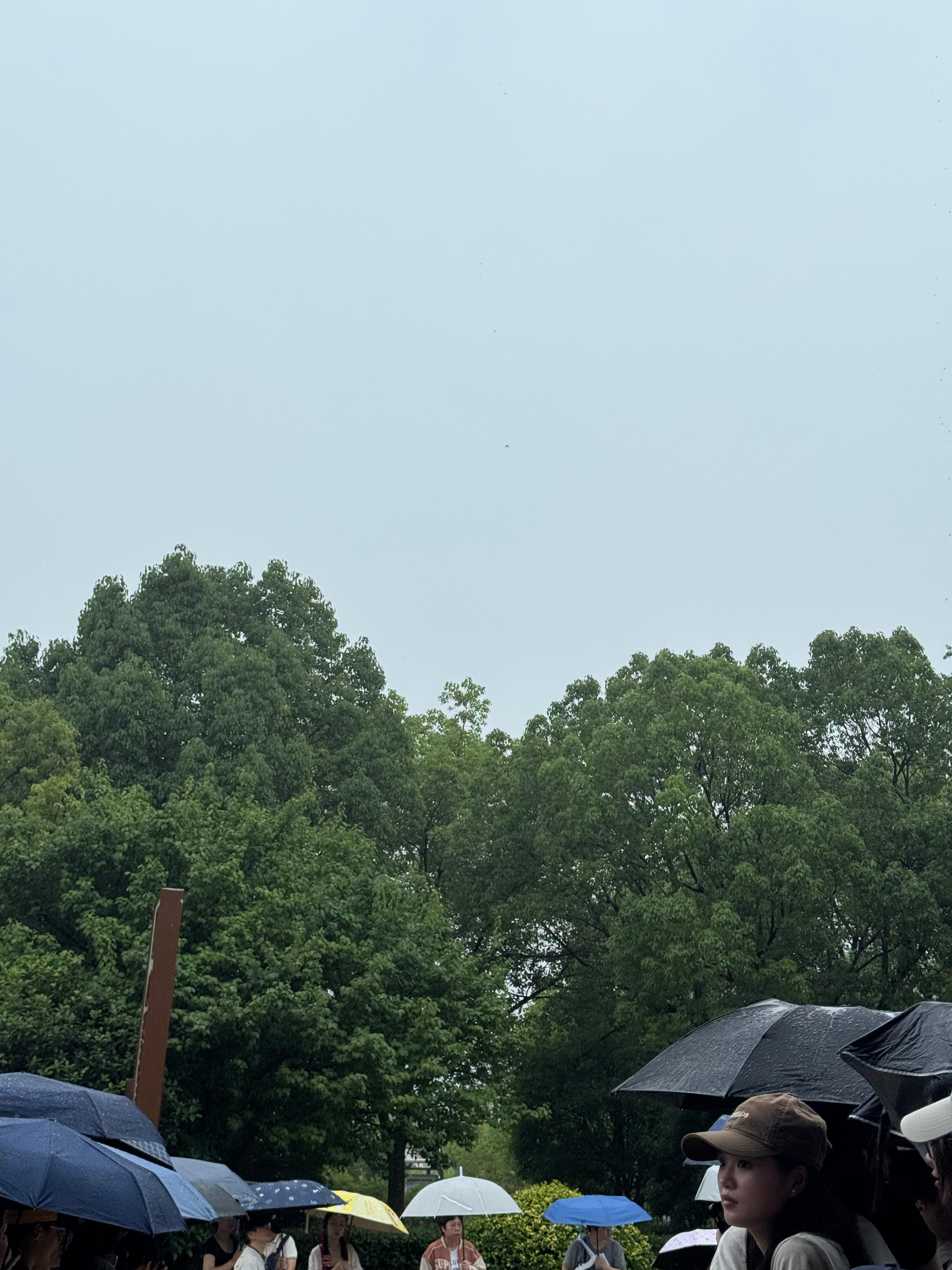 合肥的雨好大🌧️ 