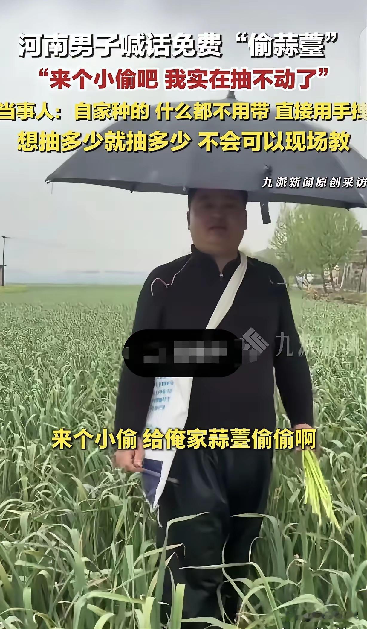 “怎么会有这么聪明的人？”河南，一男子喊话：来个小偷，给俺家蒜薹偷偷啊！男子种了