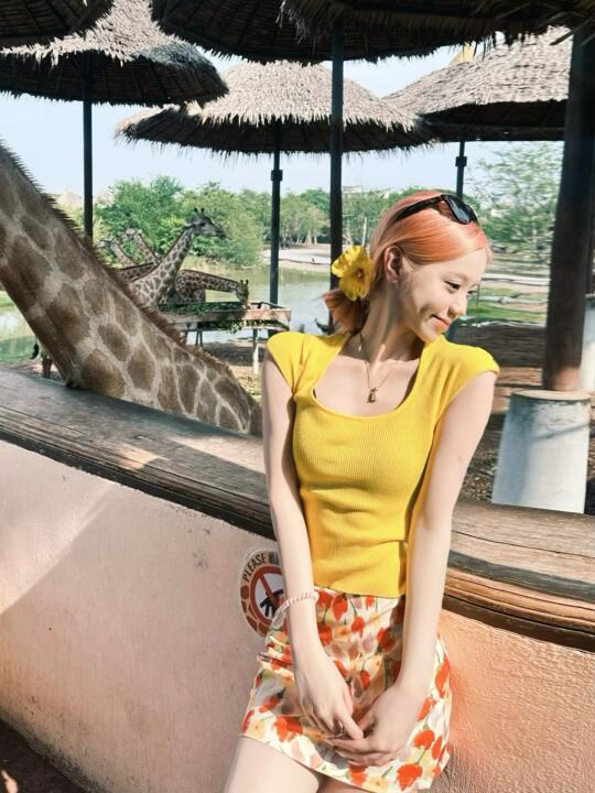 🇹🇭曼谷Safari World 一起去看长颈鹿🦒🦧