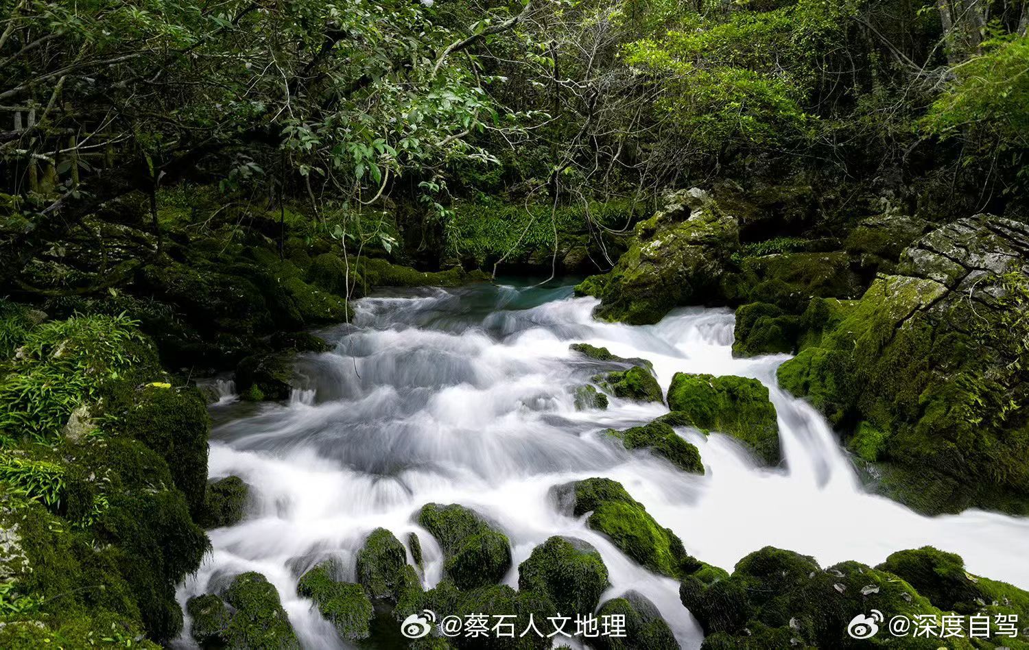 “君不见，奔腾之水岩上来，穿山破石不复回； ​​​​ 君不见，幽谷空明照影来，朝