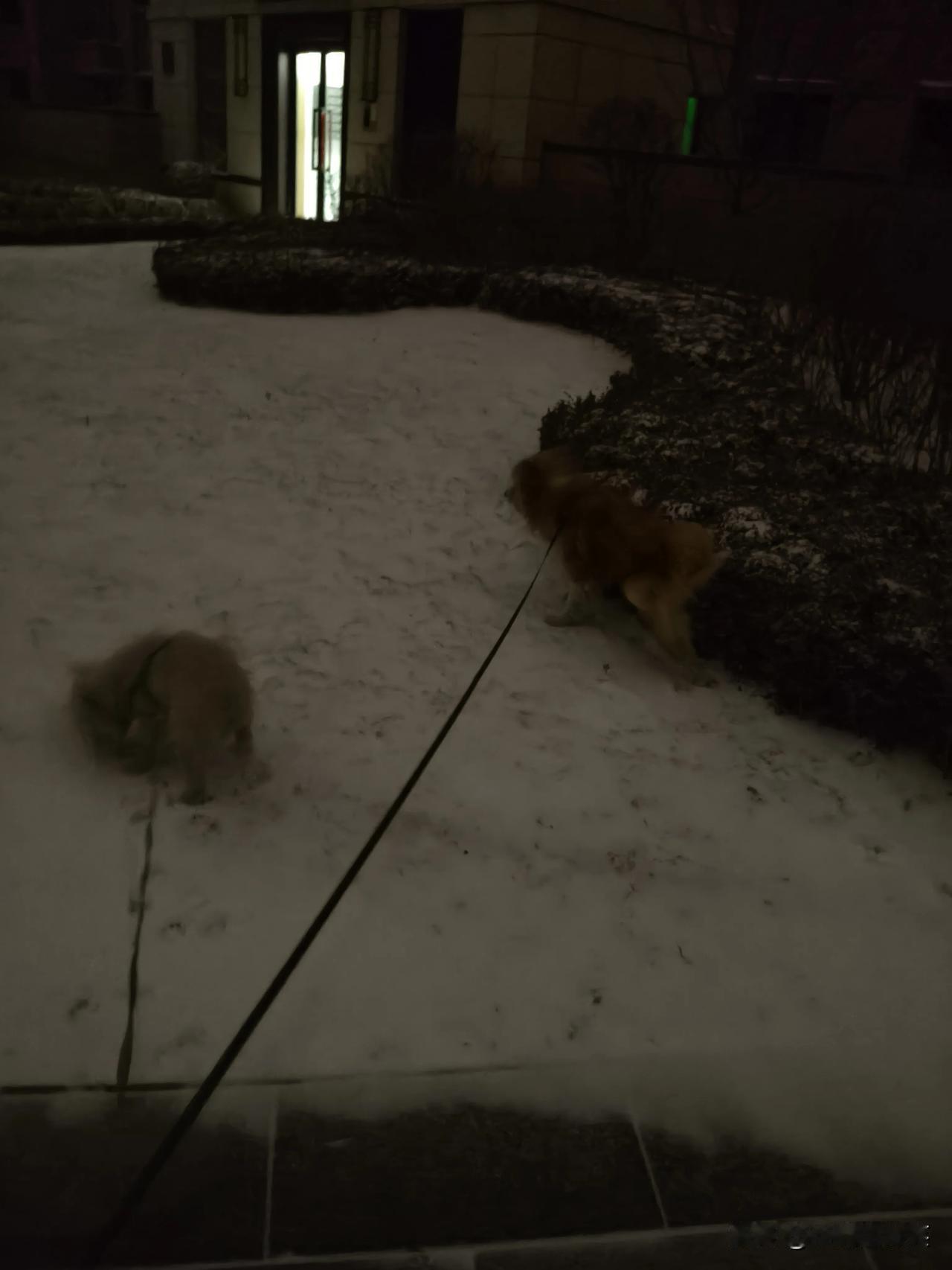 没有那么多要求