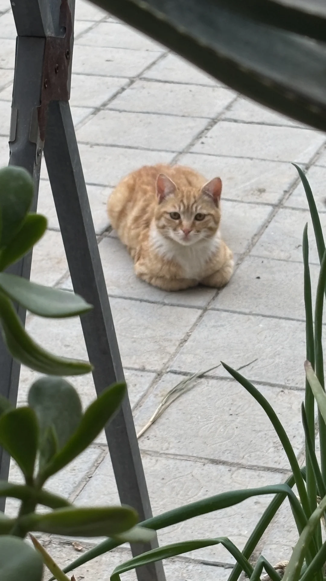 最近真的过得太幸福了啊啊啊啊啊