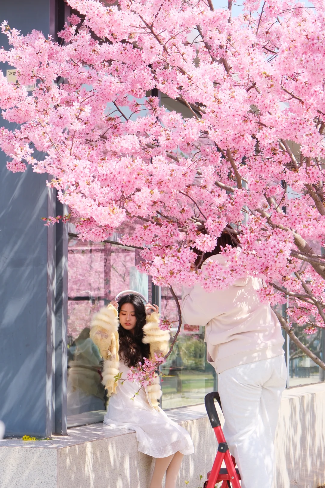 3.13实拍❗️武汉最美地铁站开爆了，晴天快冲