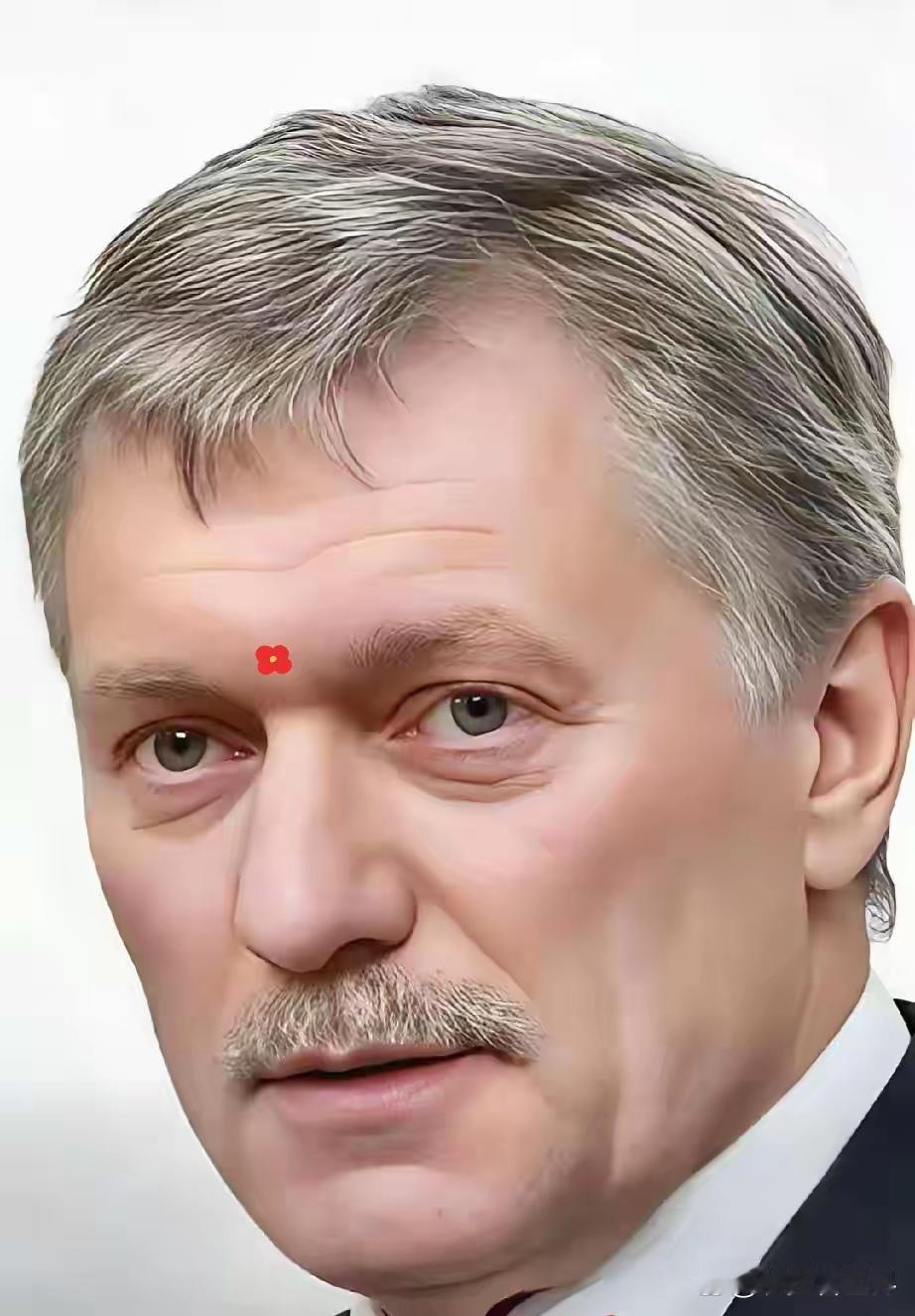 俄罗斯消息！

12月17日，俄罗斯总统新闻秘书佩斯科夫就俄乌停火谈判表态，俄方