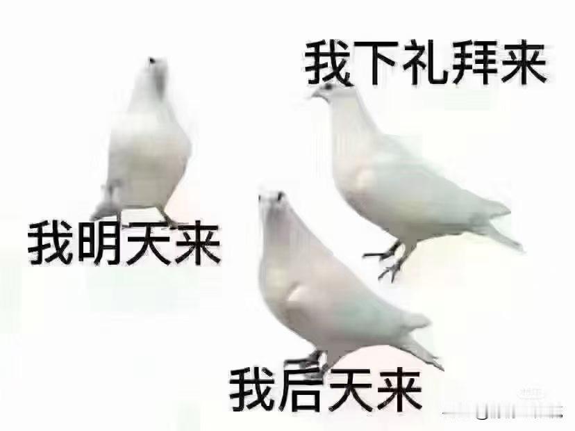 改日哥，考虑姐，礼拜兄 ，商量弟，问妻汉 ，犹豫婶，纠结叔，看这个鸽子像不像你那