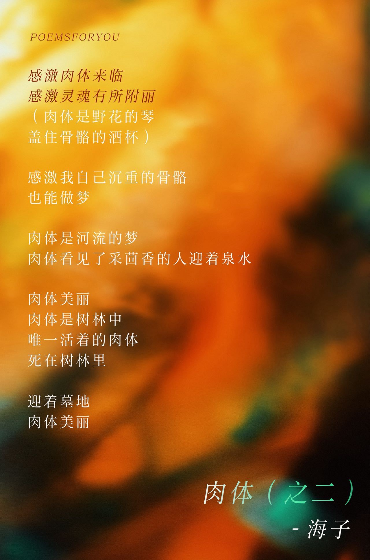 感激肉体来临感激灵魂有所附丽海子｜肉体（之二）（节选）PoemsForYou