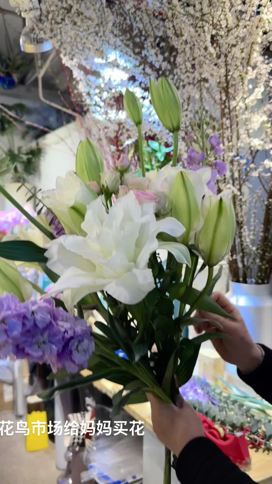 妈妈，情人节快乐