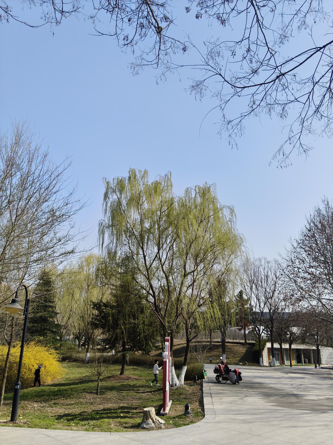 神州陆沉

东晋权臣桓温在攻灭成汉以后，威望大增，于是就有了篡位的想法。于是他决