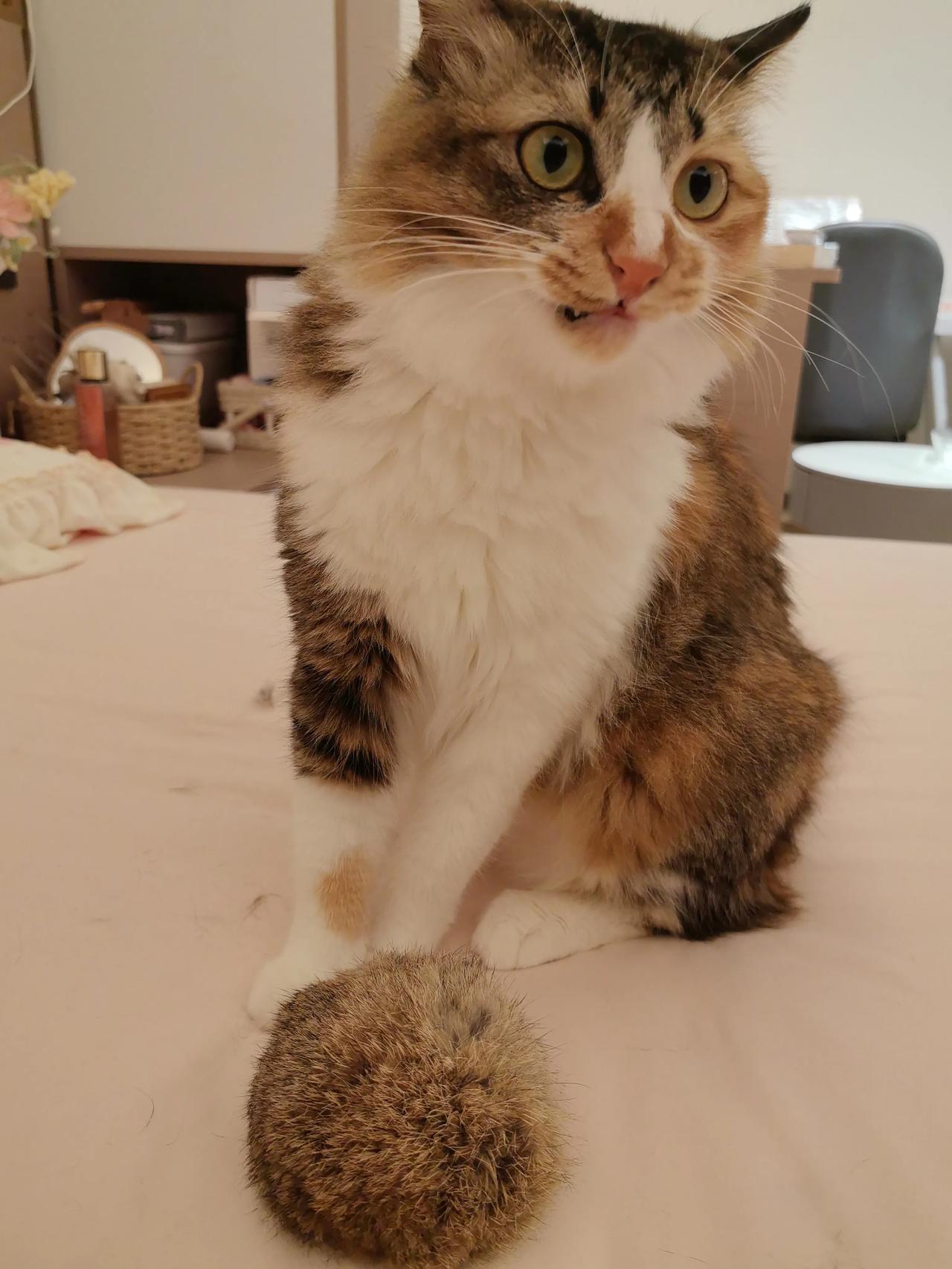 人这一生有什么东西永远属于自己