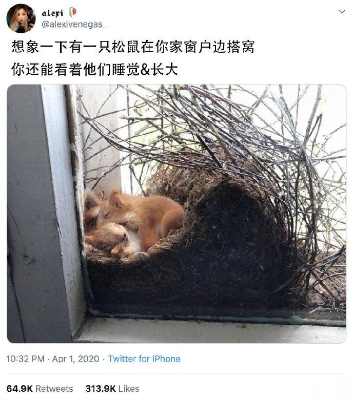 这是上辈子积了多大德哈哈哈哈 ​​​