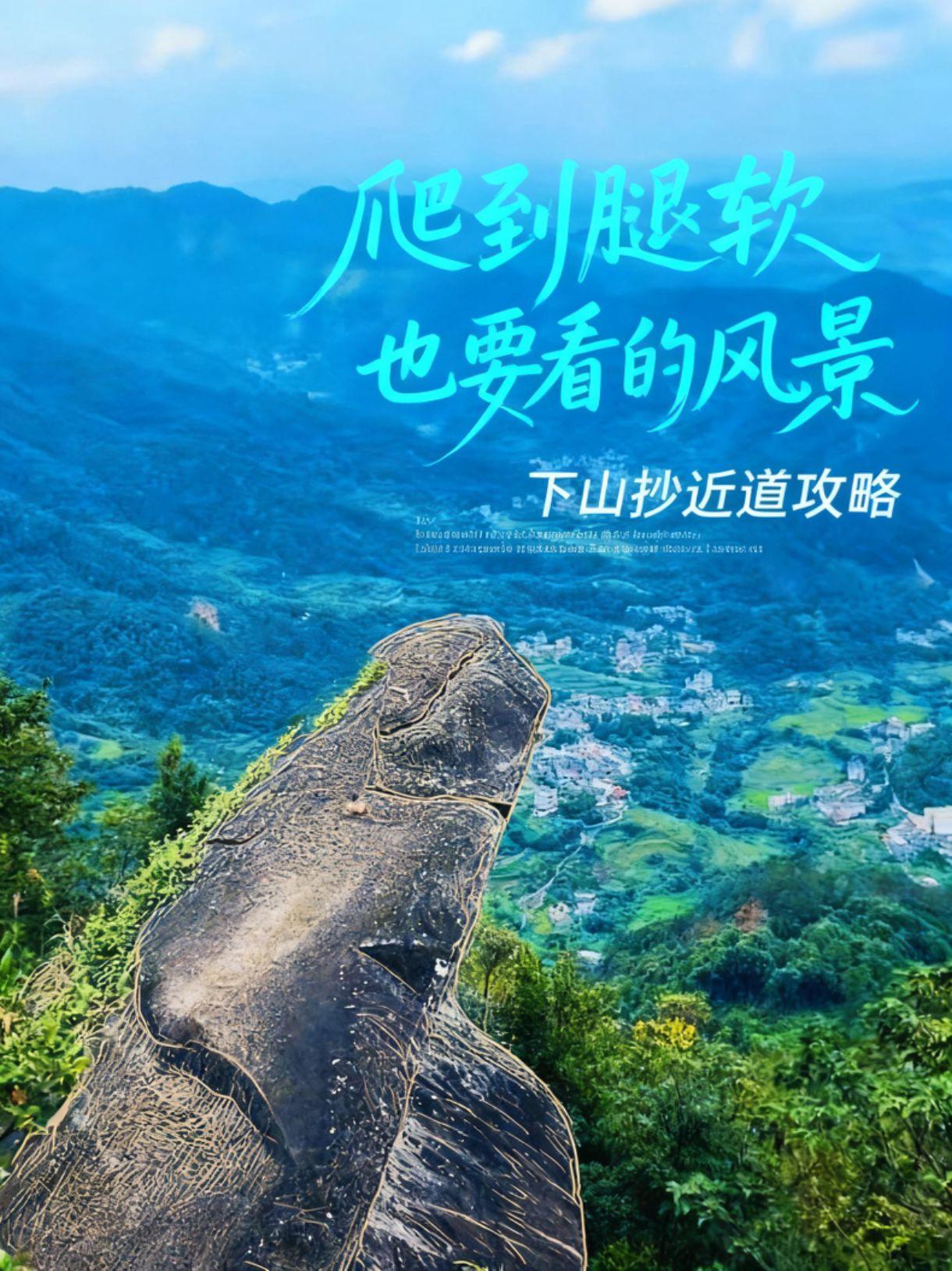 爬上去了，估计下不来了，怎么办？