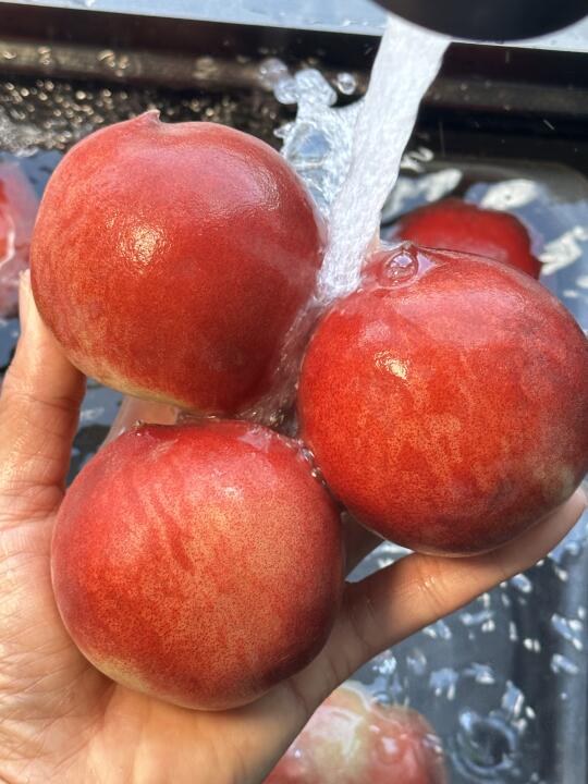 19.9一大箱的桃子，让你一次吃个够