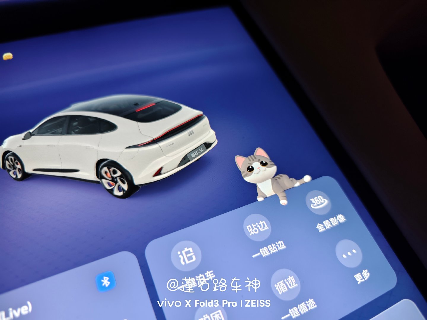发现一只小猫[哈哈][哈哈][哈哈][哈哈]  ​​​