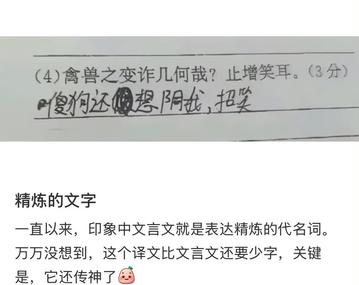 文言文翻译的含金量还在上升。 ​​​