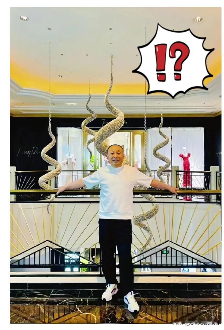 谁活着都不容易啊
我查了一下严总的公司
真的替他惋惜。公司原来都已经做到这么大的