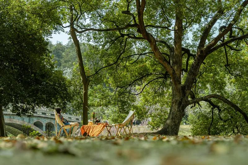 想保持快乐的心情，亲近大自然是个超棒的法子。去有阳光、有花草树木的地方，阳光透过